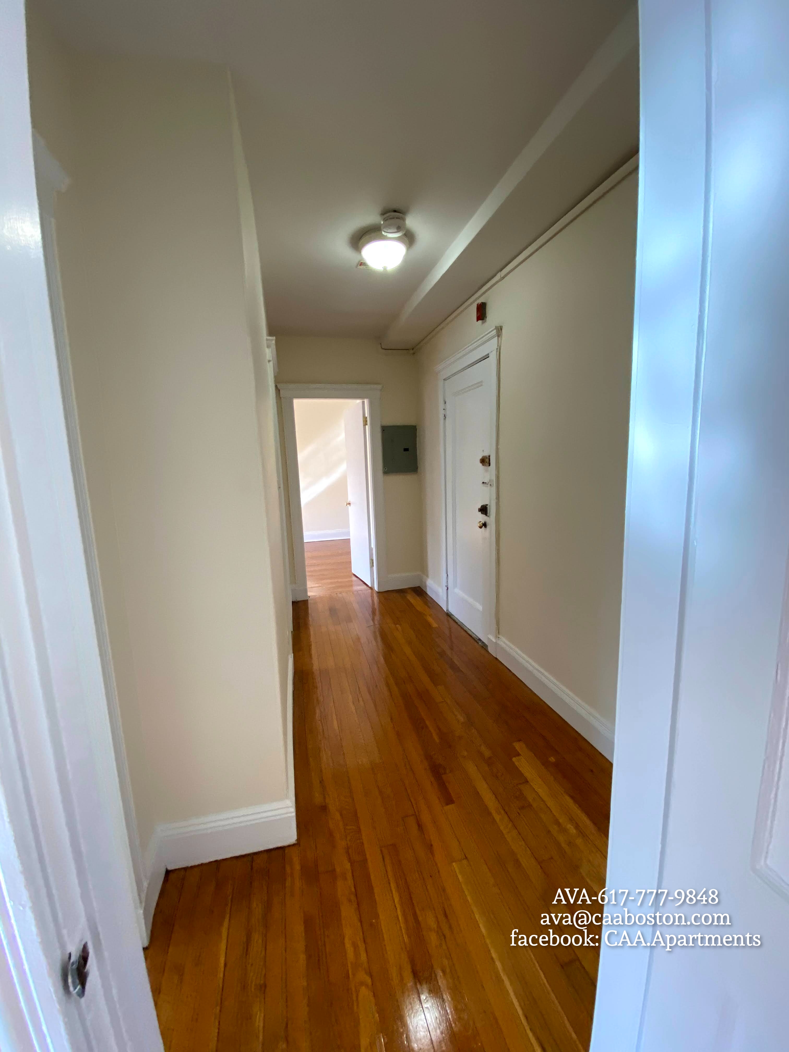 1 bed, 1 bath apartment for rent at 135 Washington St Unit 22, Brighton — photo 4 of 7