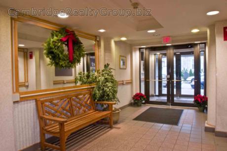 2 bed, 2 bath apartment for rent at 345 Franklin St Unit 206T, Central Square — photo 7 of 23