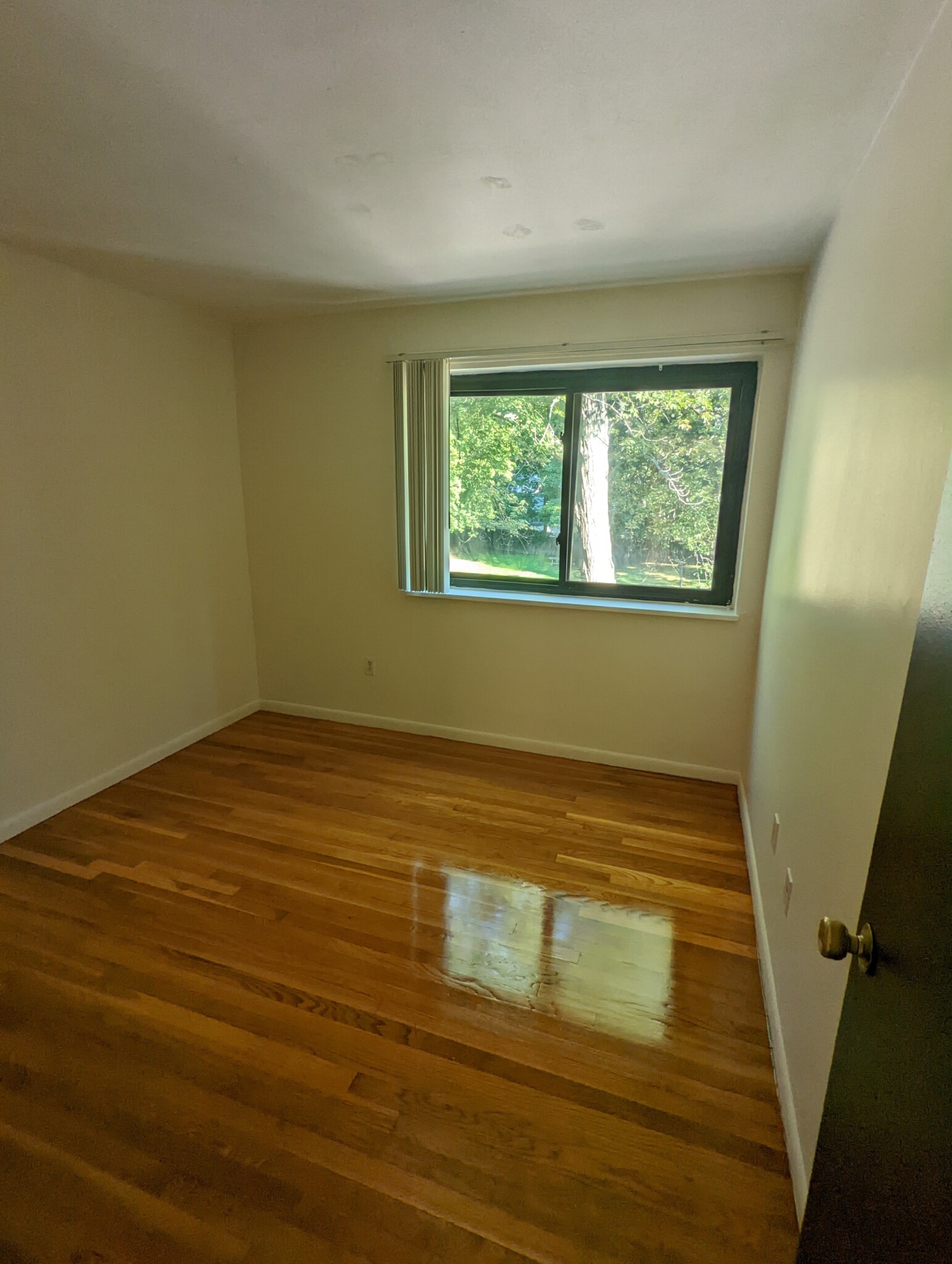 2 bed, 1 bath apartment for rent at 200 Central St Unit 7, Stoneham — photo 2 of 8