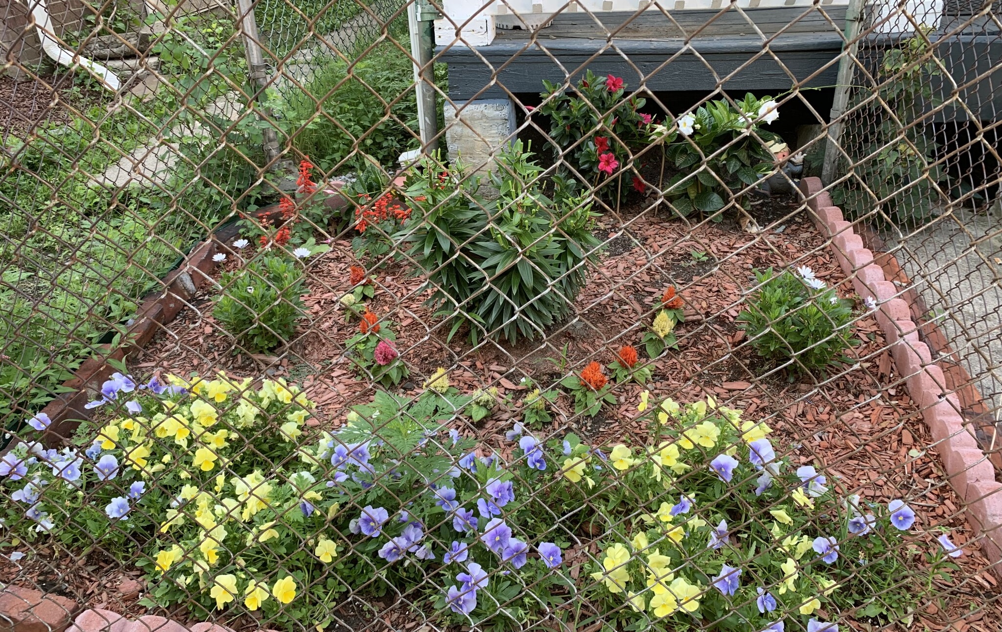 27 Pinckney St, East Somerville