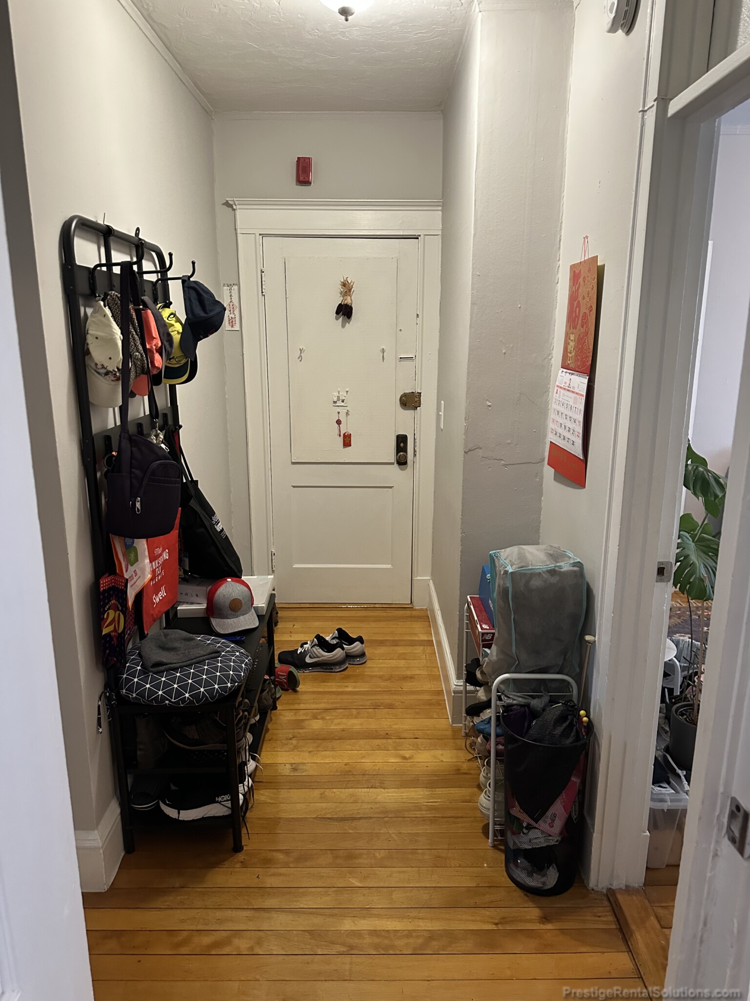 220 South St, Jamaica Plain