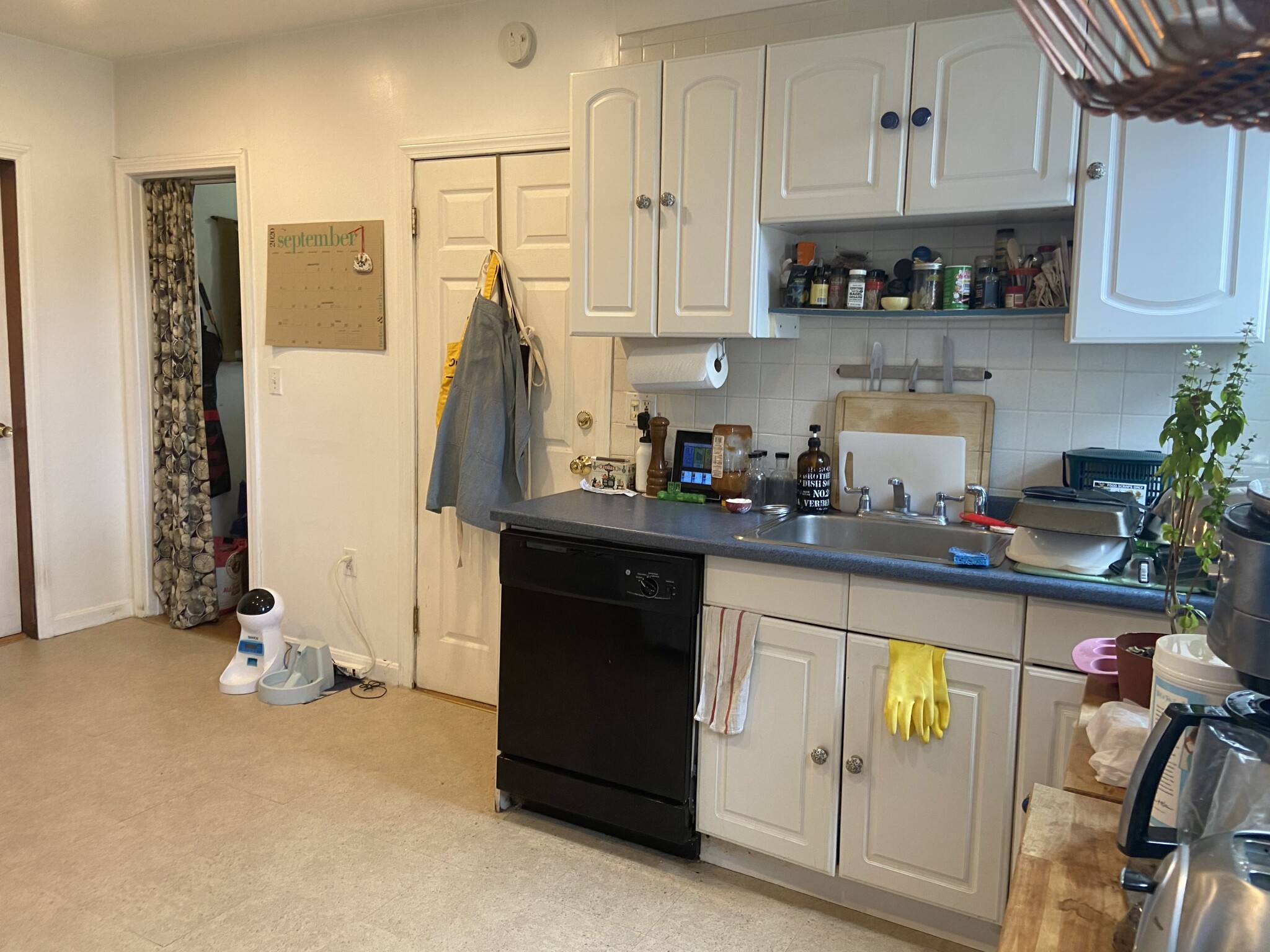 16 Montgomery St, North Cambridge