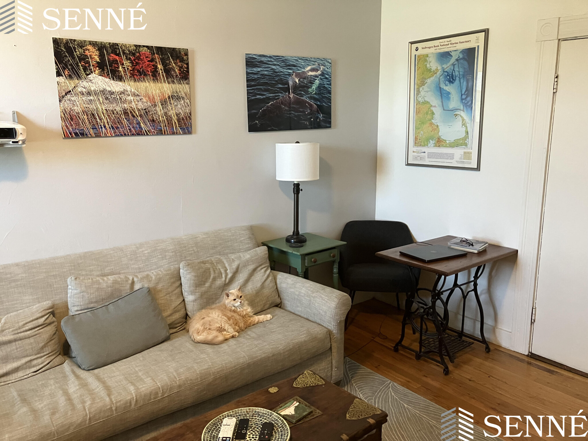 545 Somerville Ave, Union Square