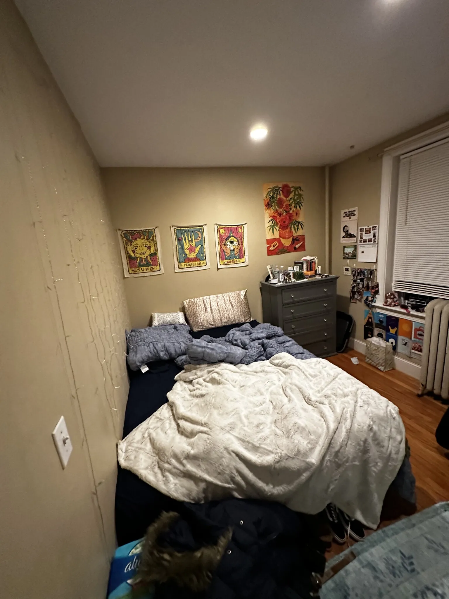 60 Egmont St, North Brookline