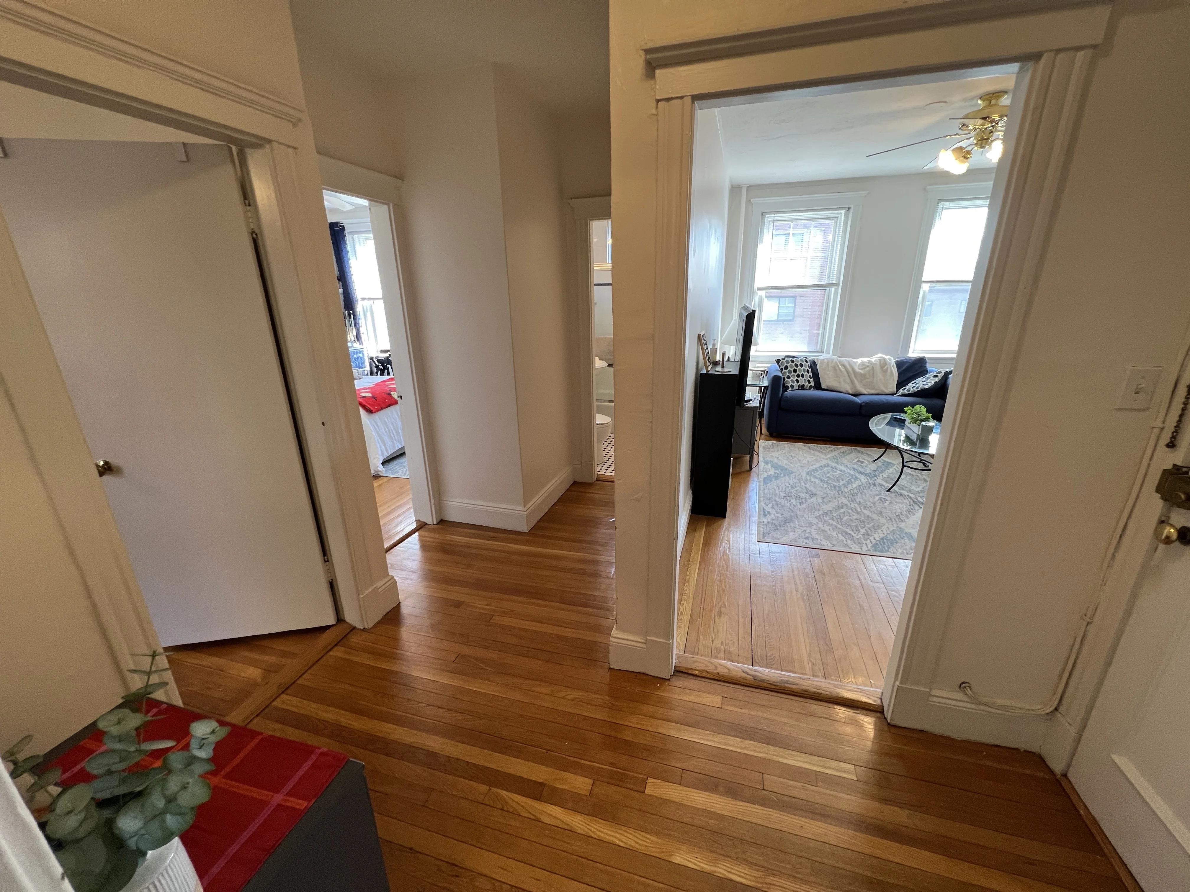 80 Sutherland Rd, Brighton