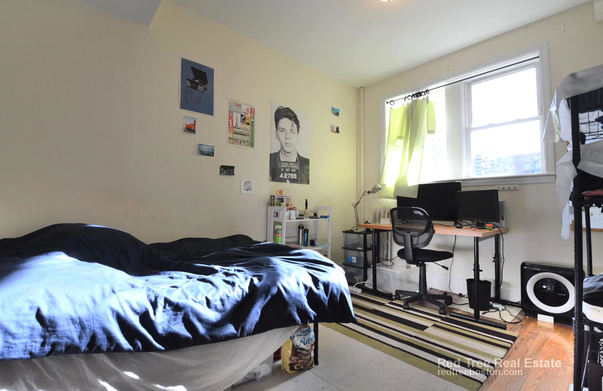 62 Egmont St, North Brookline