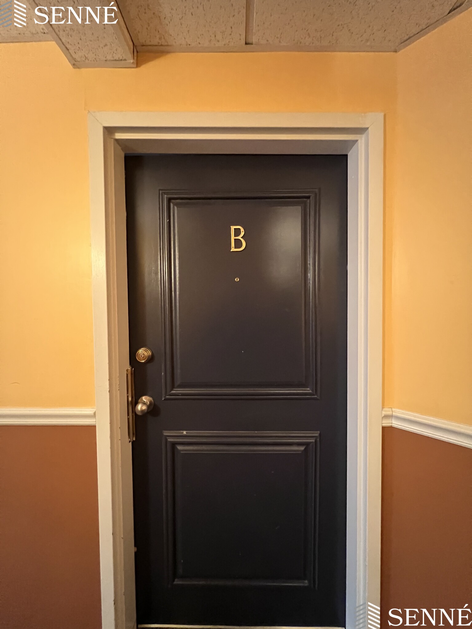 20 Queensberry St, Fenway