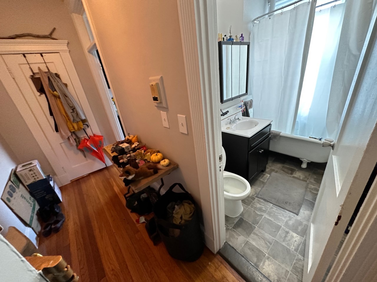 Studio bed, 1 bath apartment for rent at 47 Linden St Unit 6, Allston — photo 2 of 5