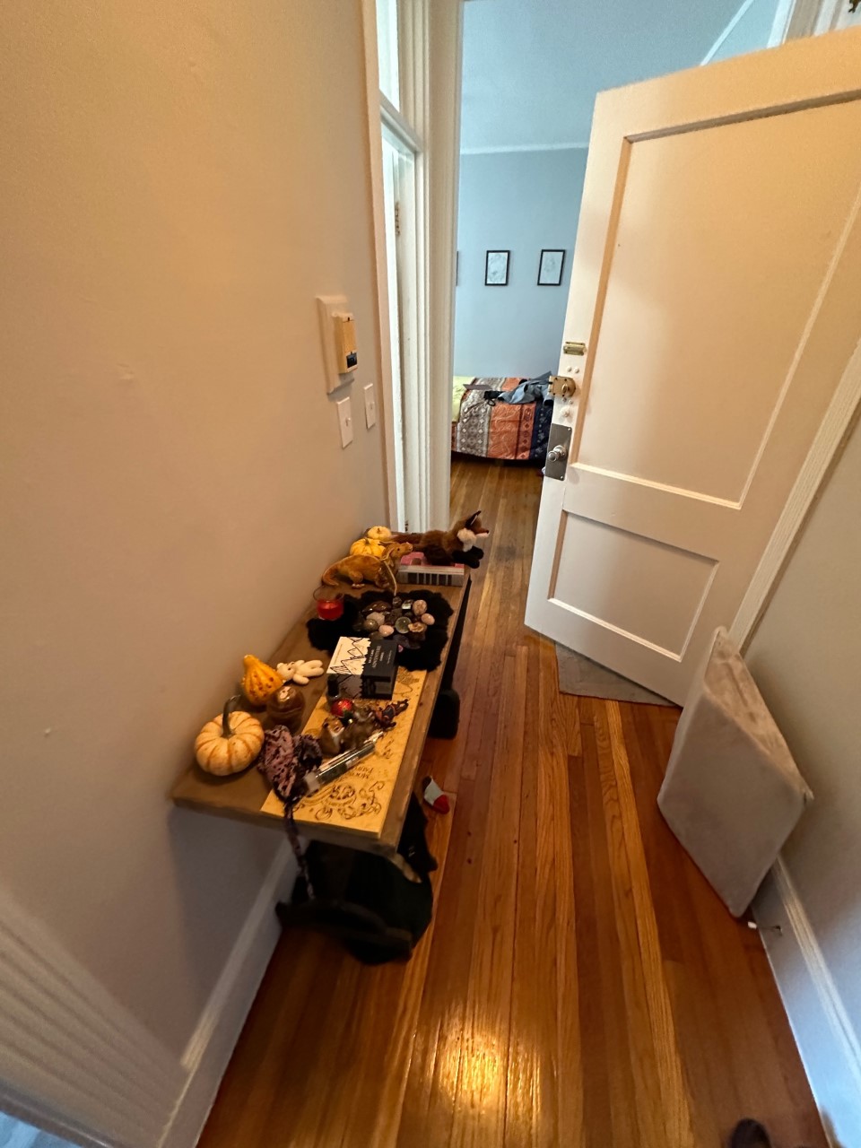 Studio bed, 1 bath apartment for rent at 47 Linden St Unit 6, Allston — photo 4 of 5
