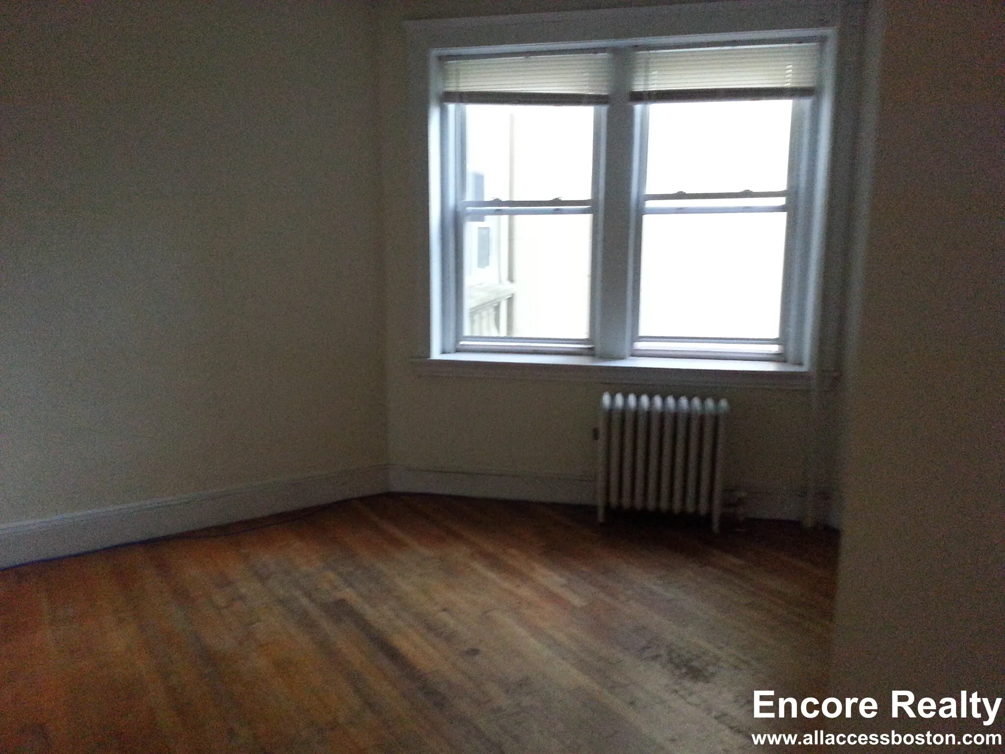 54 Egmont St, North Brookline