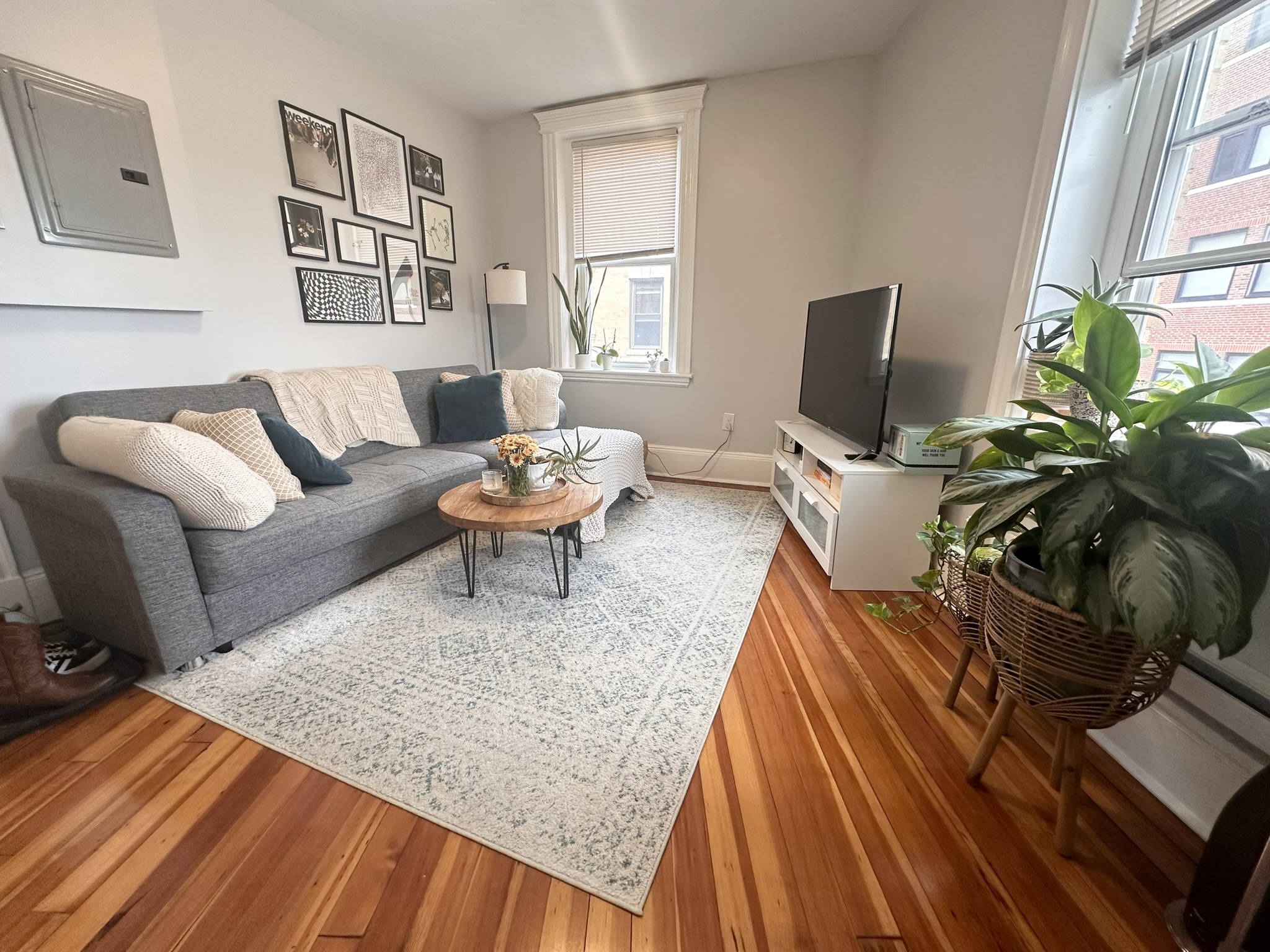 2 bed, 1 bath apartment for rent at 330 North St Unit 41, North End — photo 1 of 9