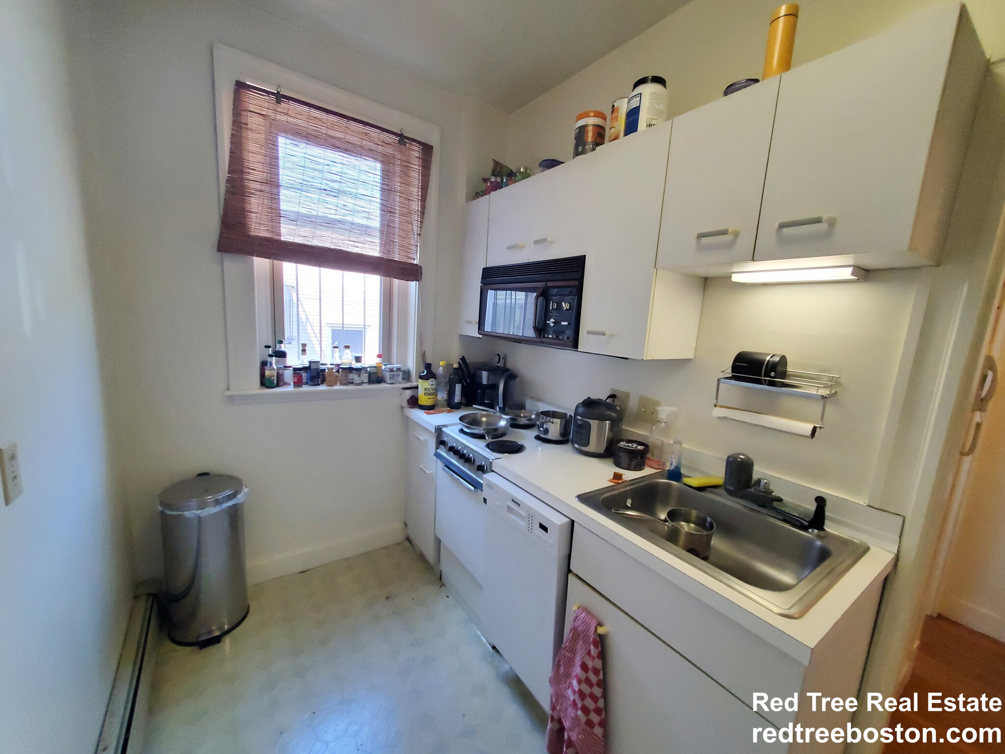 9 Colborne Rd, Brighton