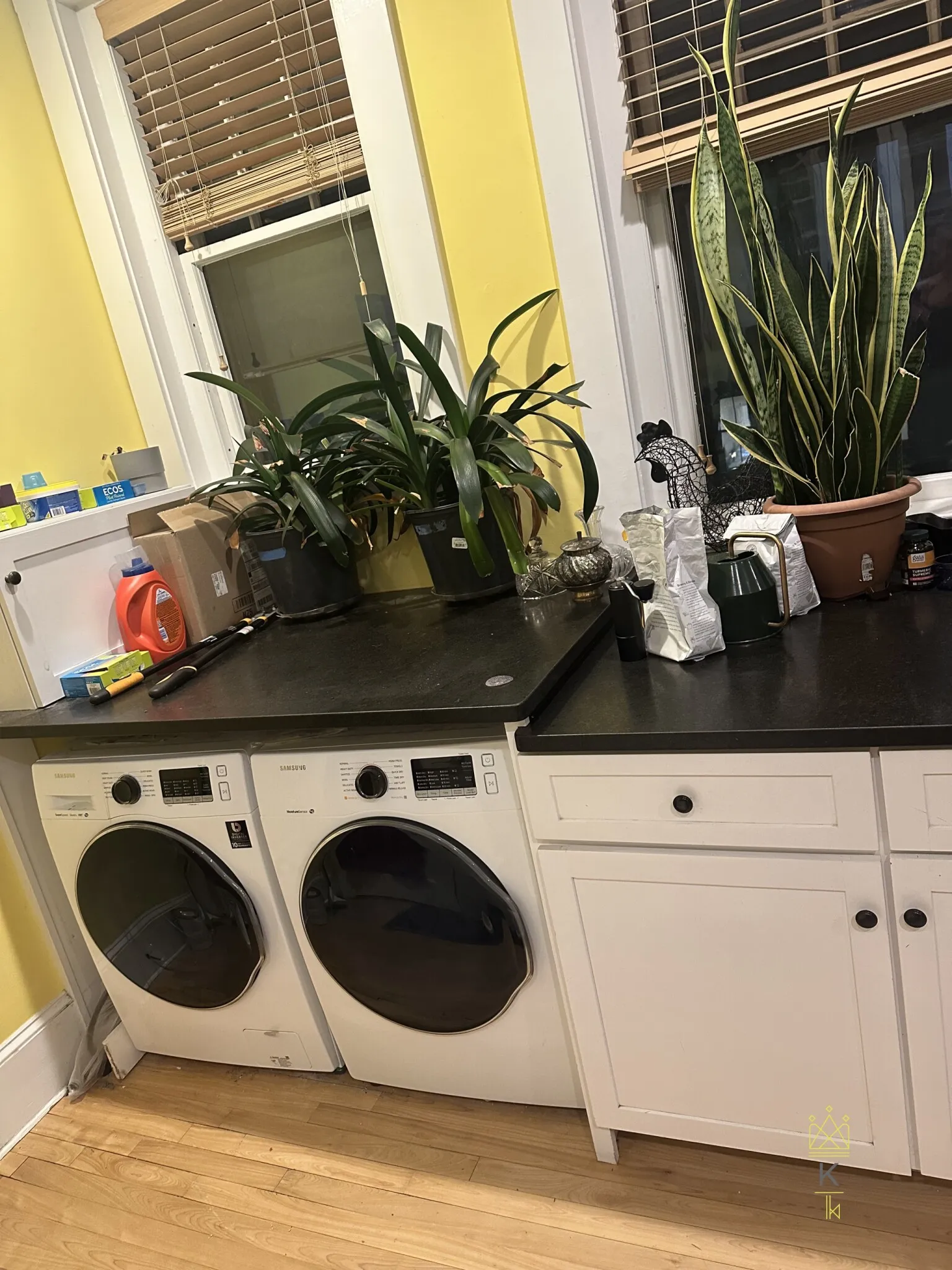 336 Washington St, Emerson Gardens