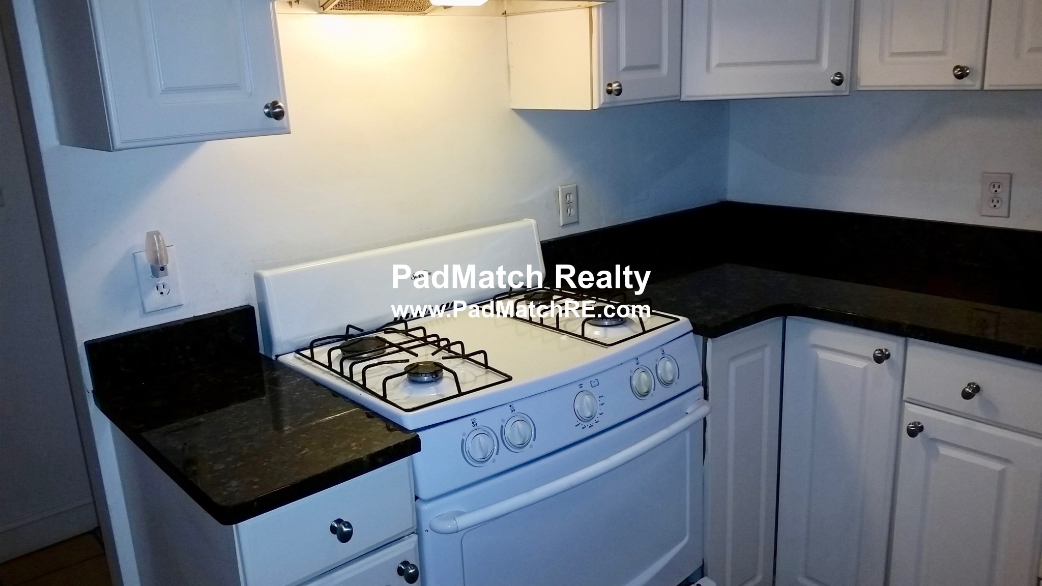 62 Egmont St, Longwood