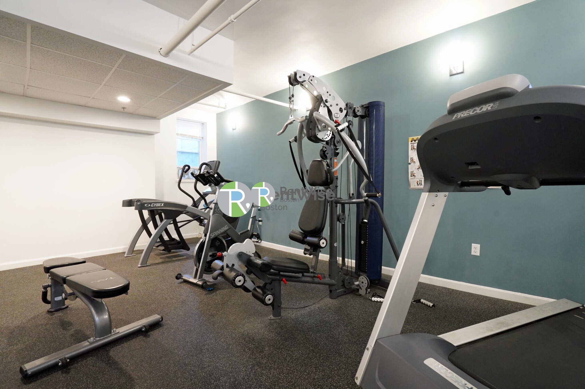 6 Orkney Rd, Brighton