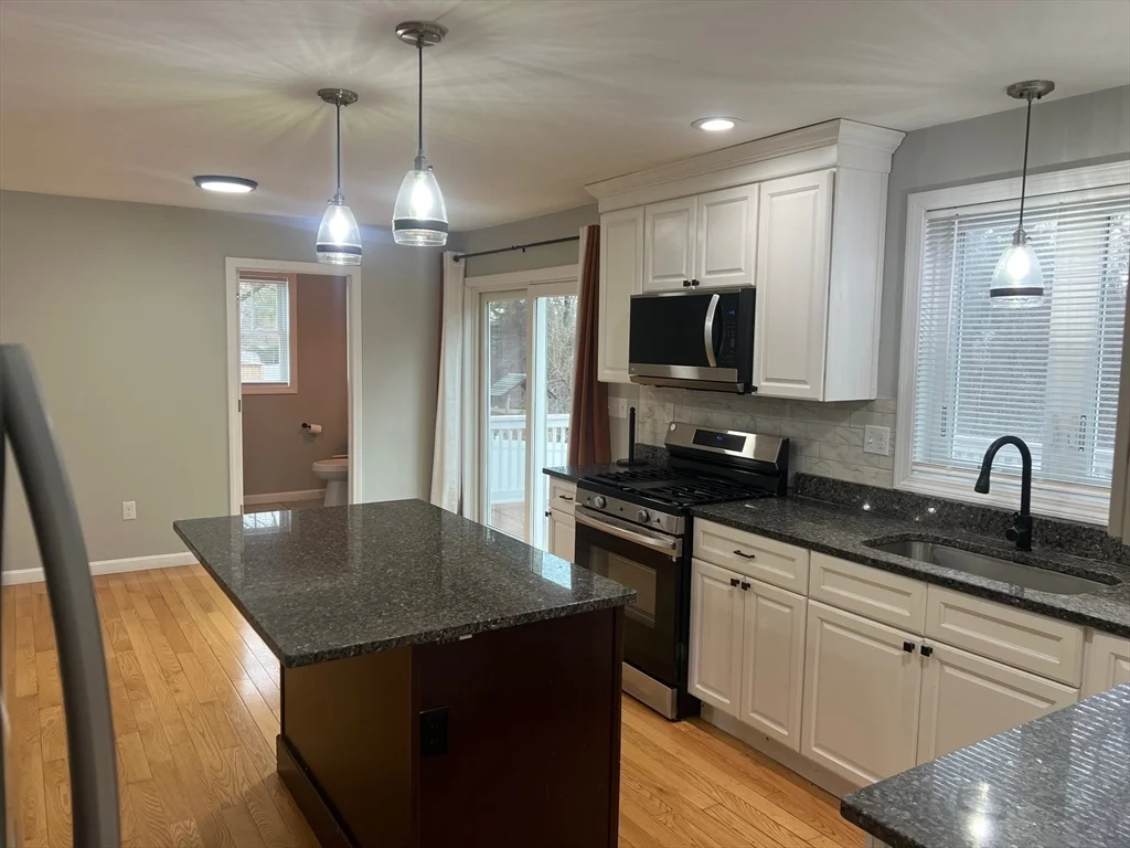 131 Merrill, Rosemont