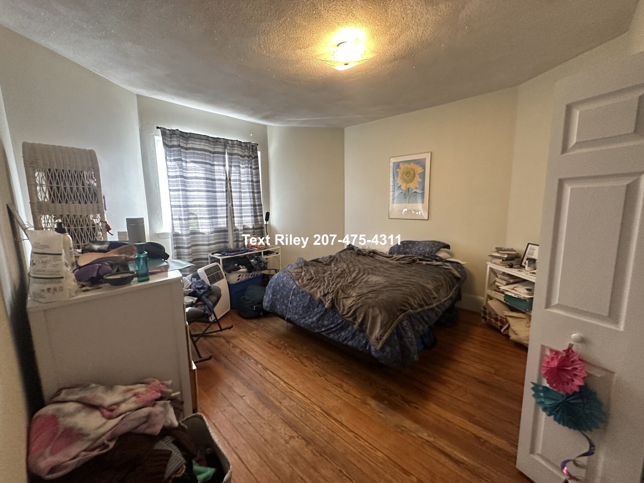 99 Marion St, Ward Two