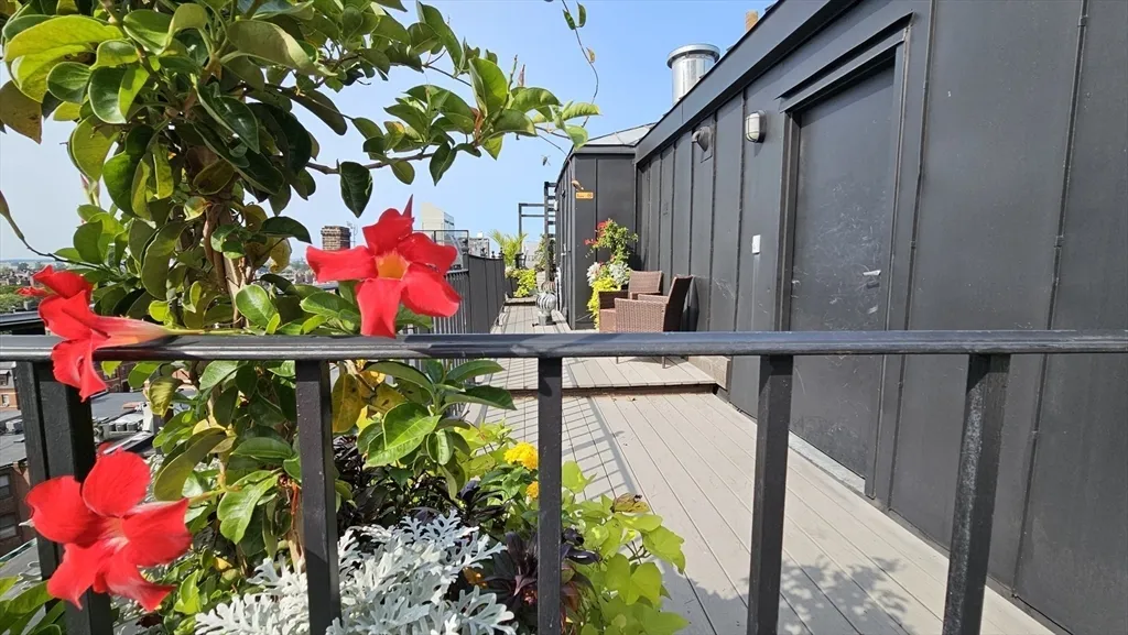 755 Boylston St, Back Bay