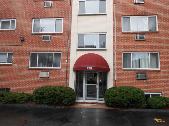 239 Kelton St, Brighton