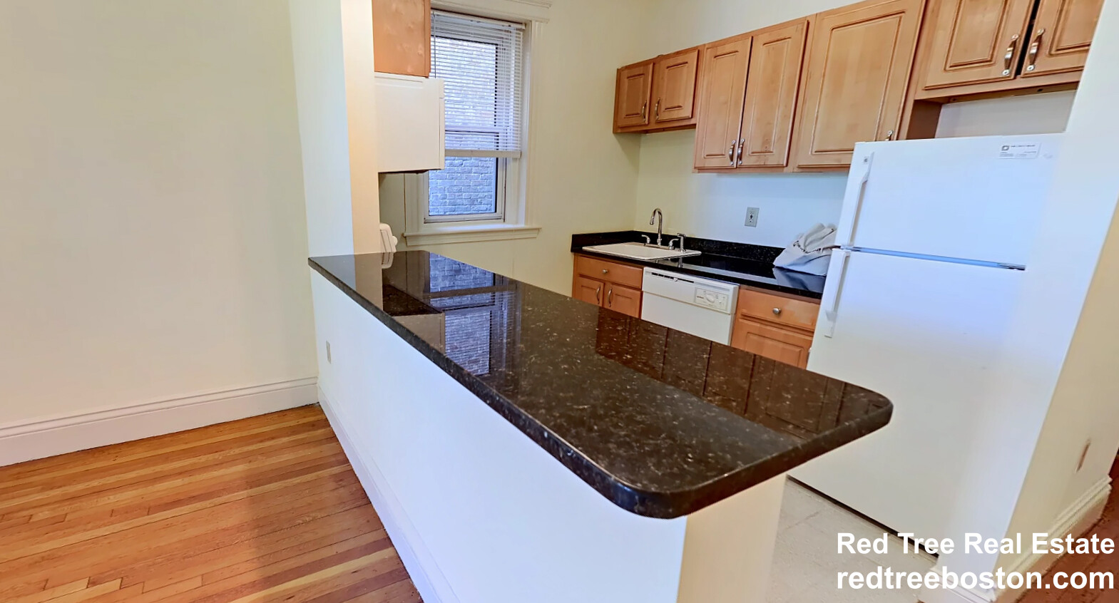 98 Queensberry St, Fenway