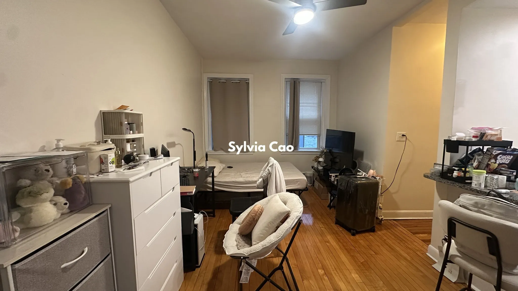56 Brighton Ave, Brighton