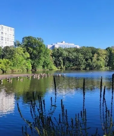 17 High St, Brookline Village