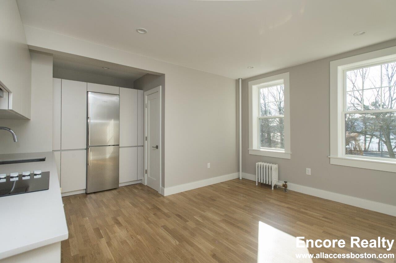 288 Chestnut Hill Ave, Brighton