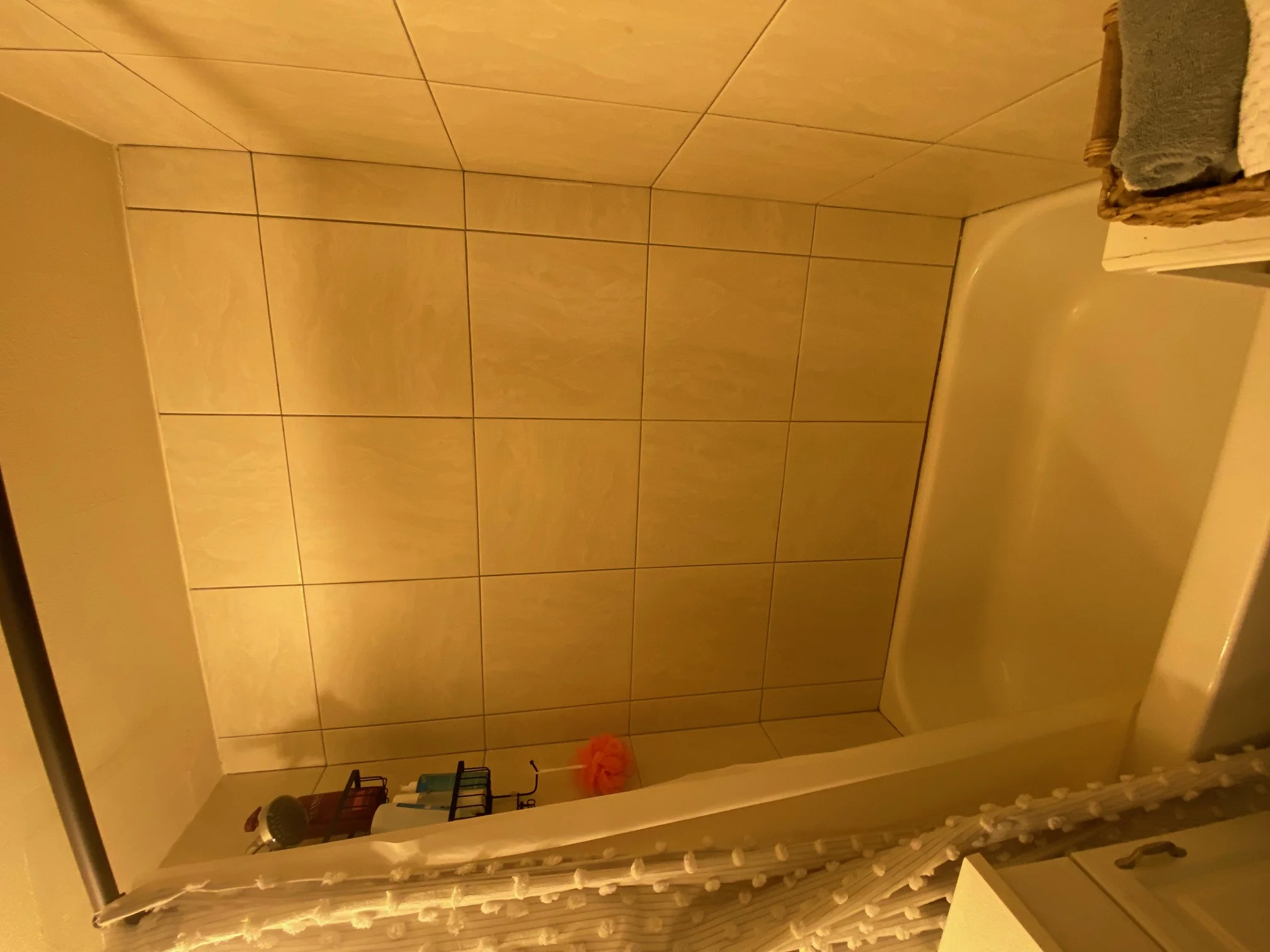 108 Myrtle St, Beacon Hill