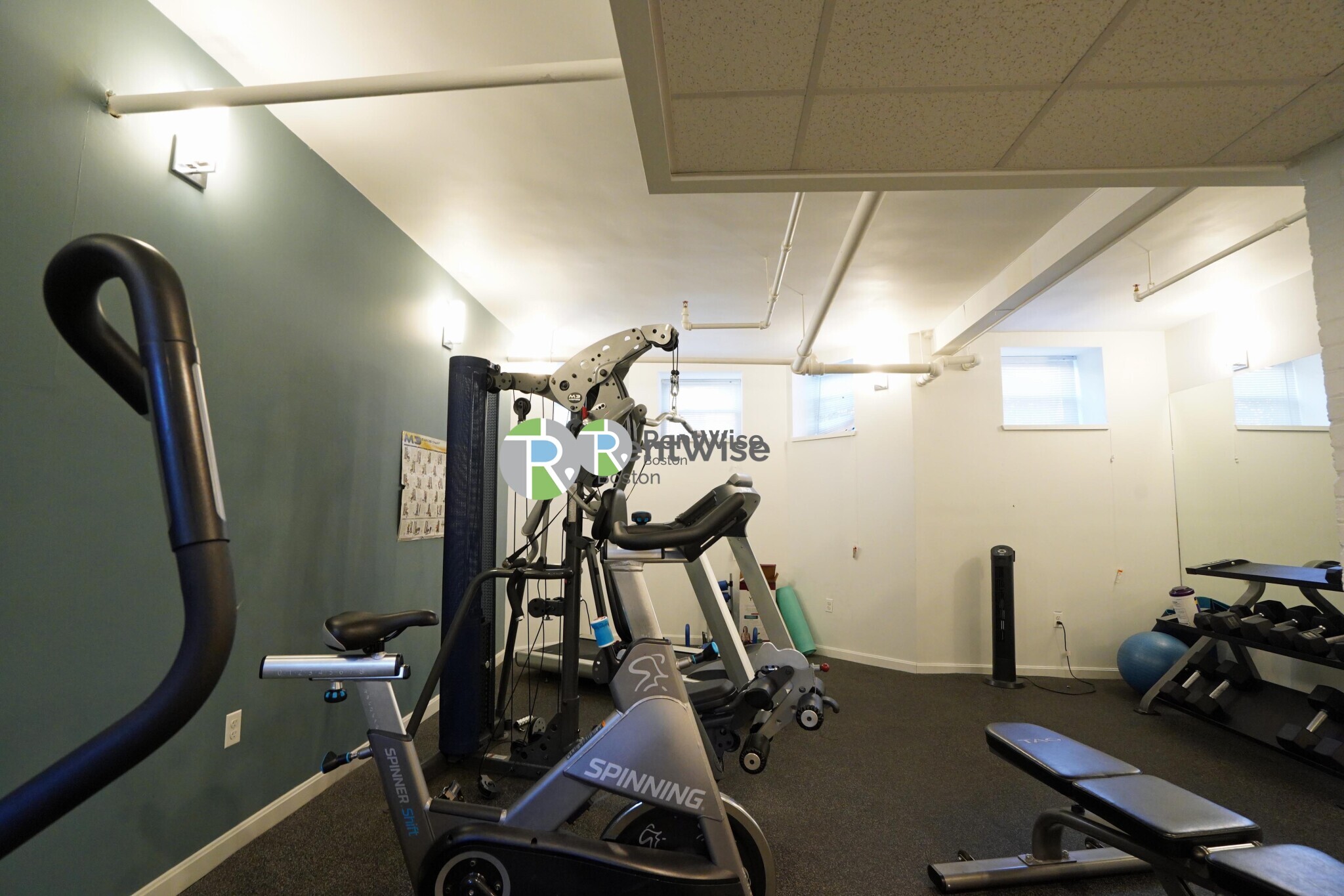 6 Orkney Rd, Brighton