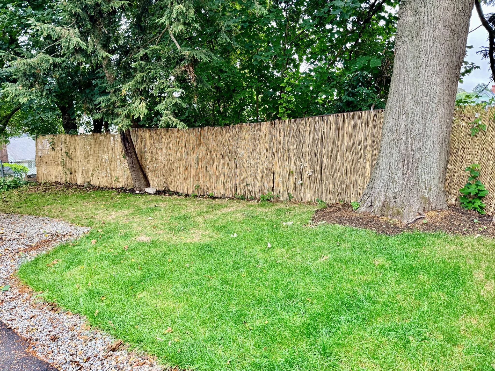 9 Beryl St, Roslindale