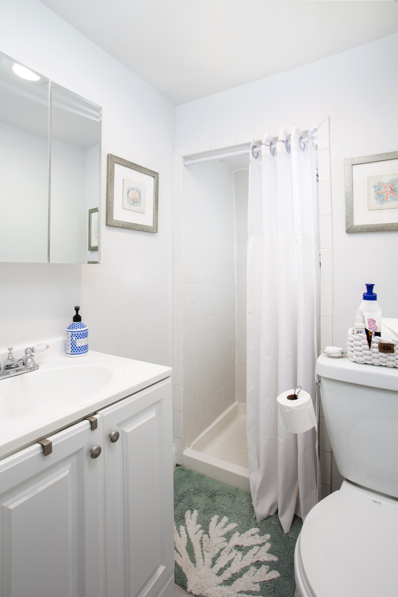 24 Anderson St, Beacon Hill