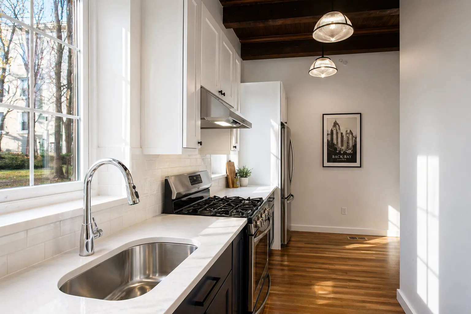17 Saint Marys Ct, Brookline