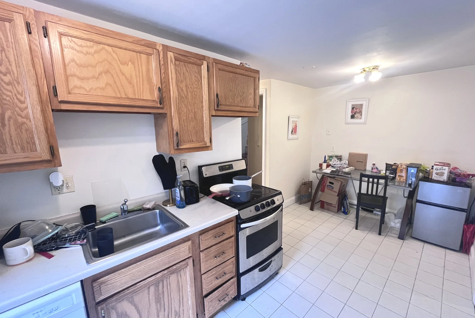 216 Freeman St, North Brookline