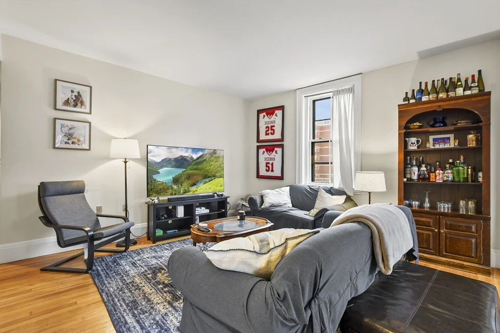 59 E Springfield, South End