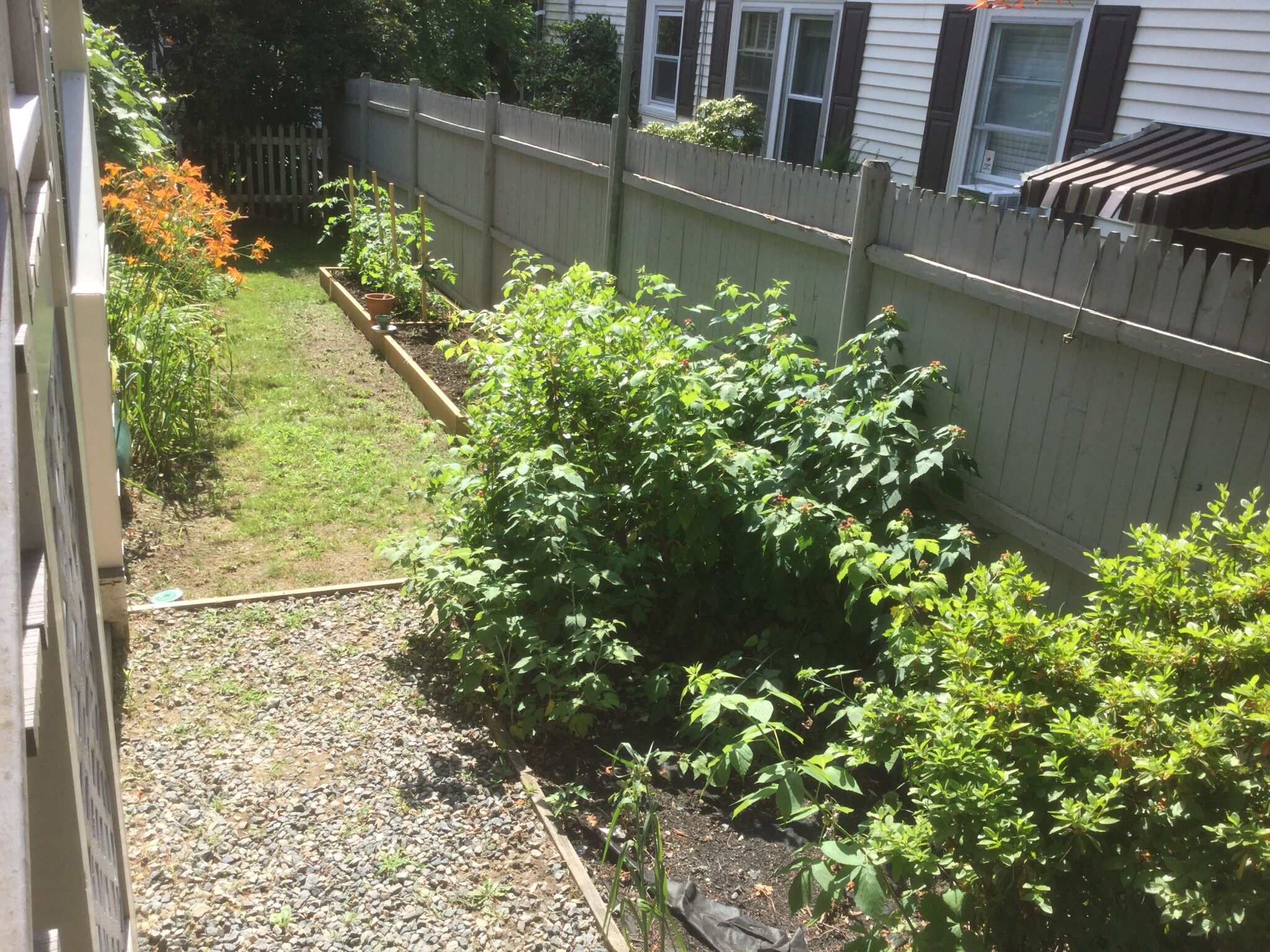 56 Hobson St, Oak Square