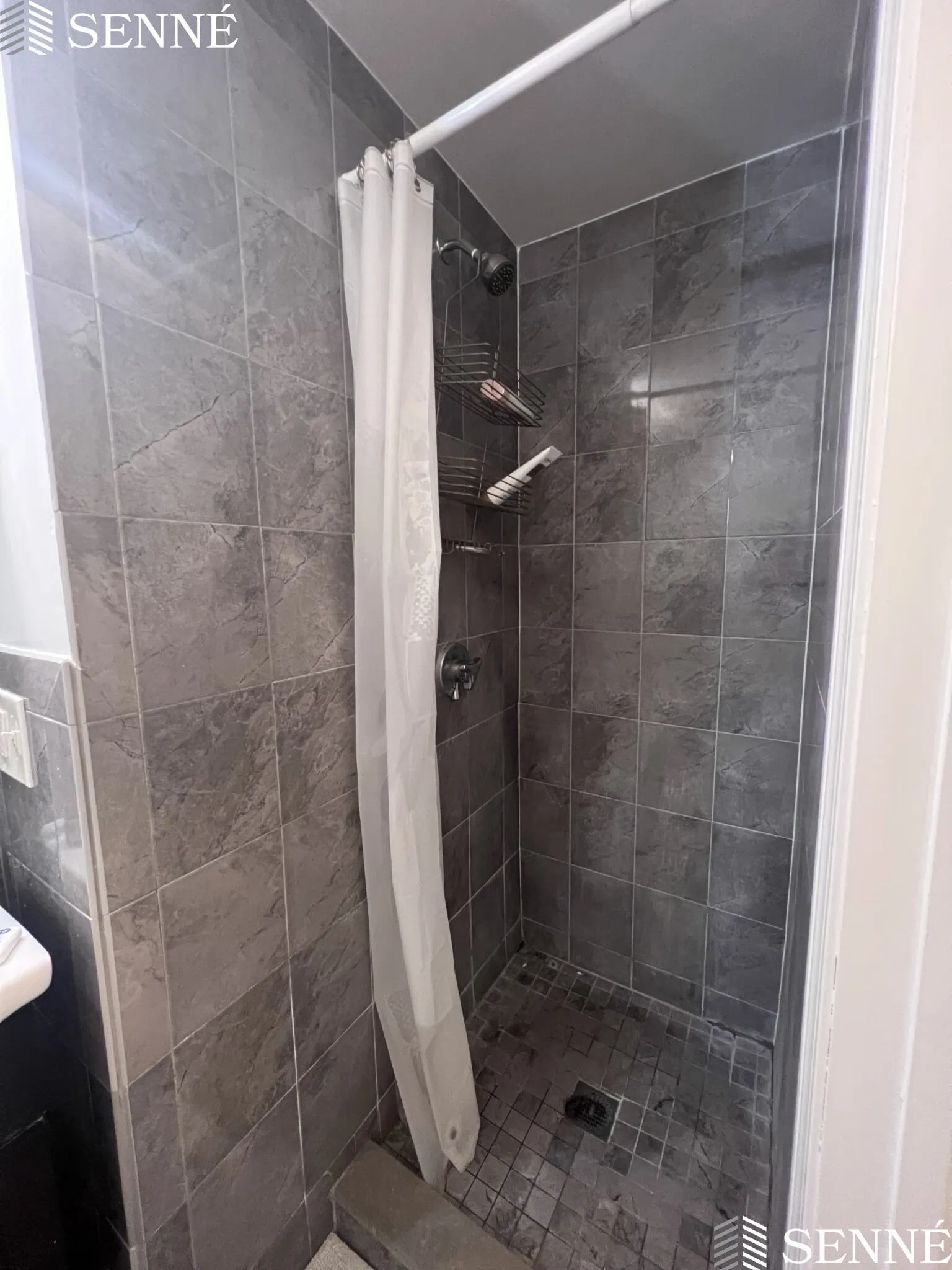 3 Linnaean St, Neighborhood Nine