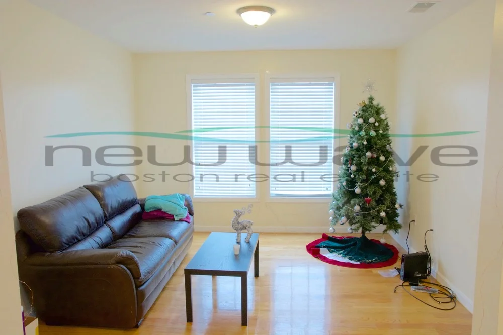 207 Hillside St, Mission Hill