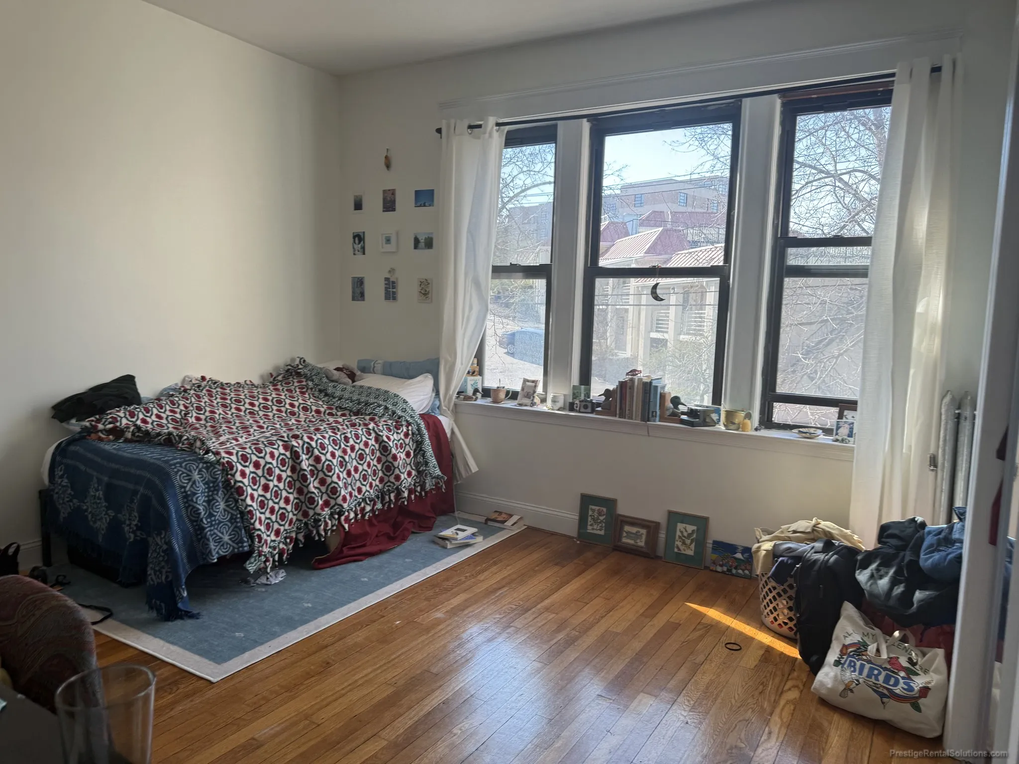 41 Egremont Rd, Brighton