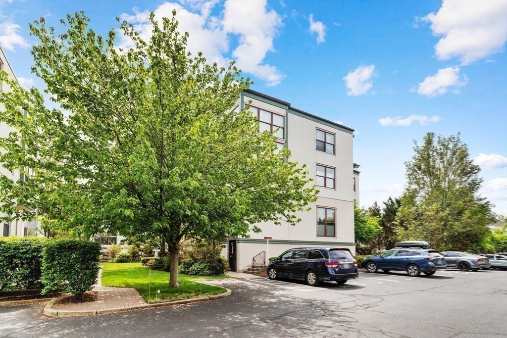 87 Brookside Ave, Jamaica Plain