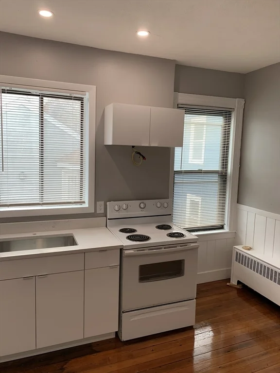 165 Chestnut Ave, Jamaica Plain