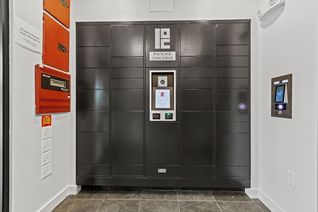 97 Elmwood, North Cambridge