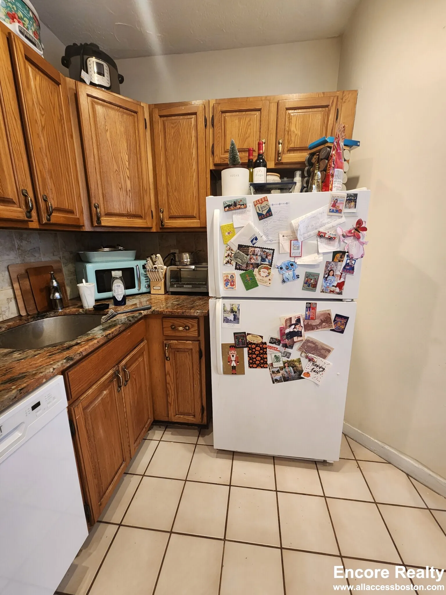 240 Kelton St, Brighton