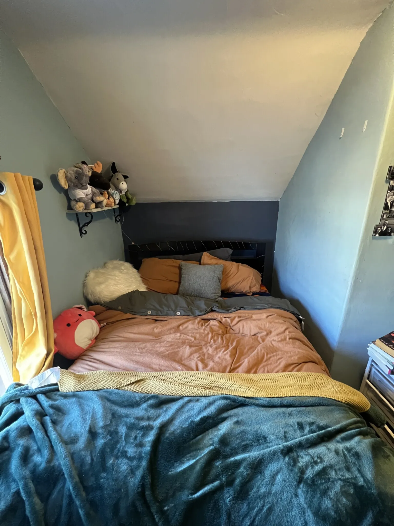 7 Craigie St, Spring Hill