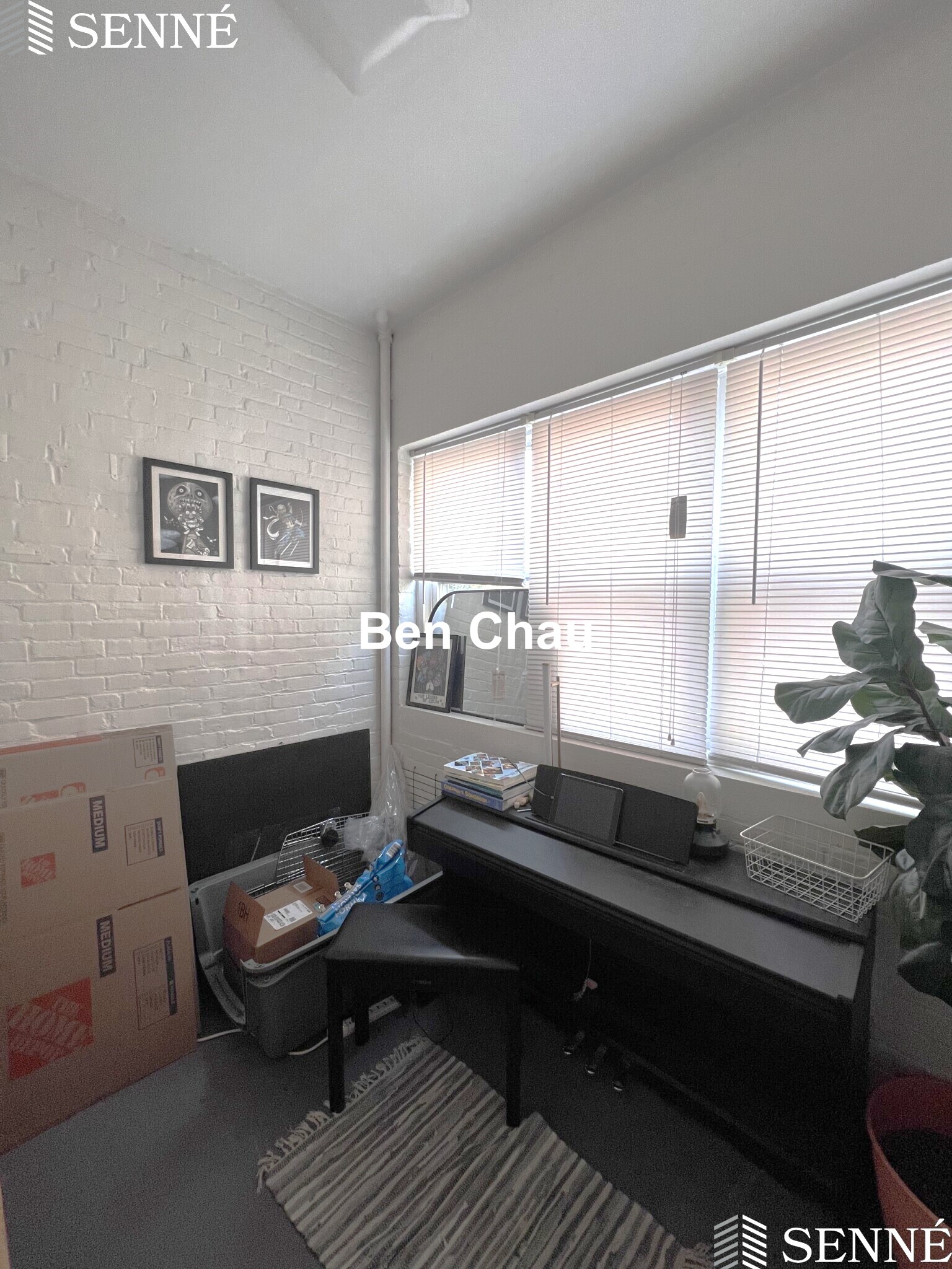 3 Linnaean St, Neighborhood Nine