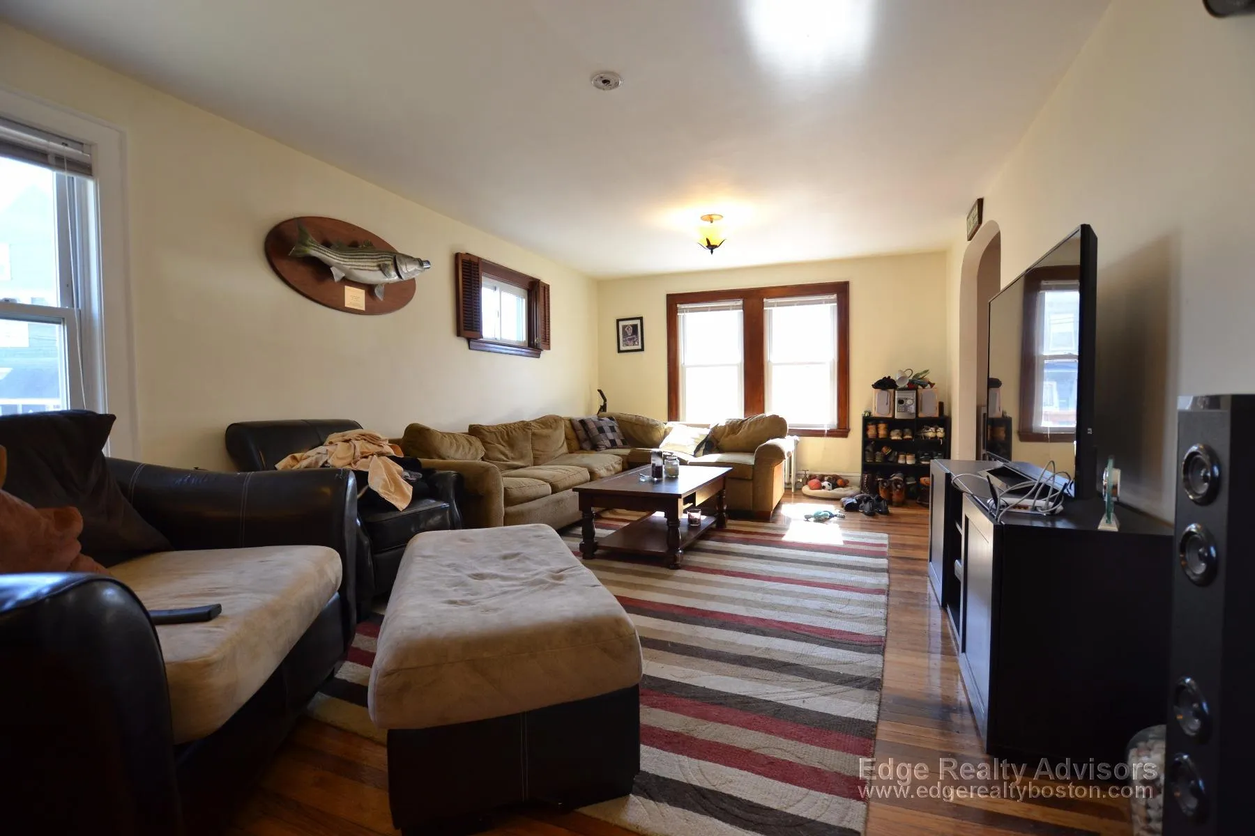 5 Donnybrook Rd, Brighton