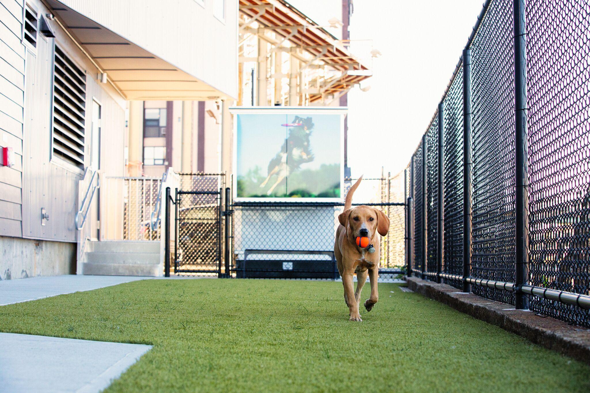 75 Braintree St, Allston