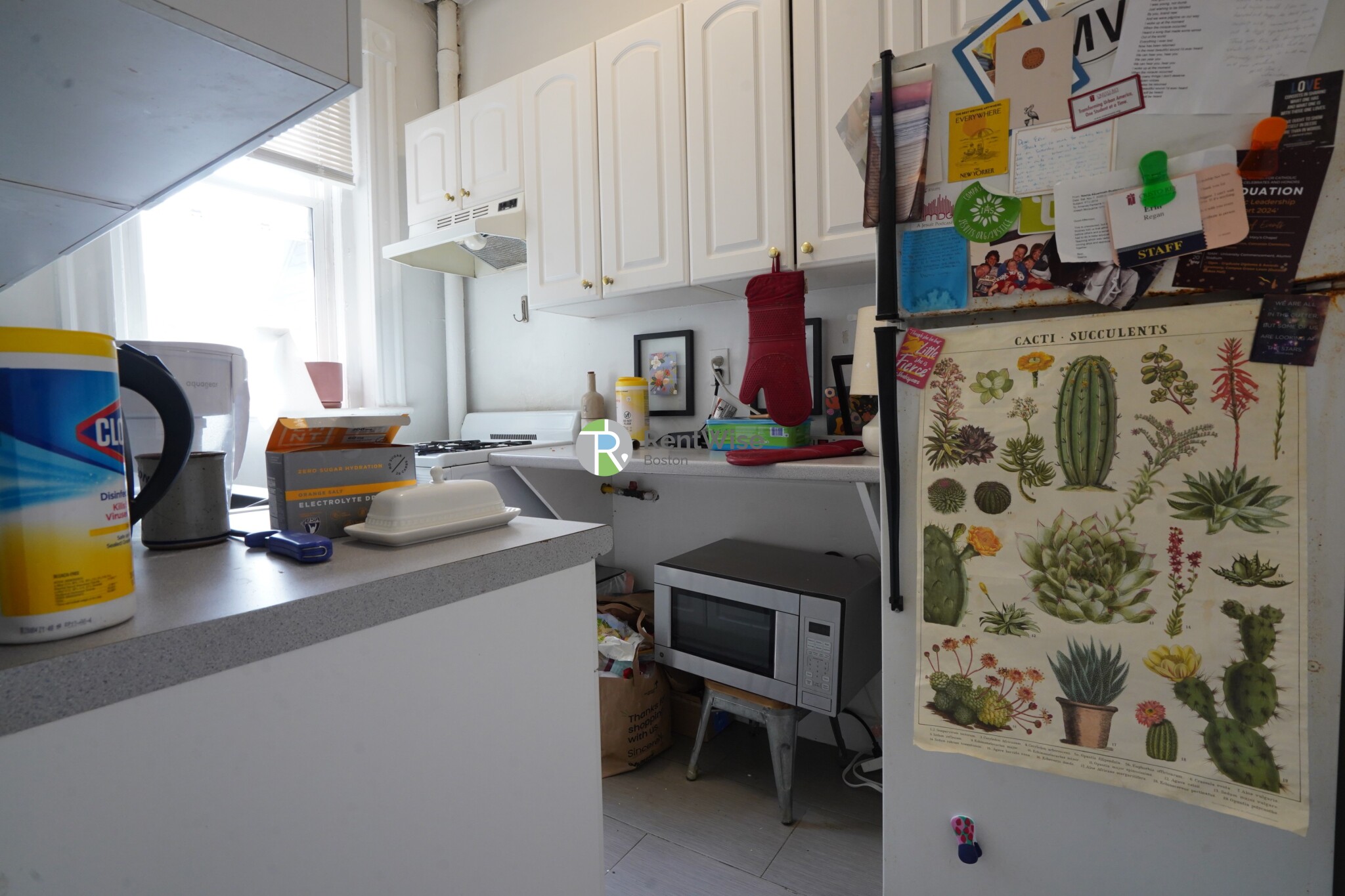 14 Orkney Rd, Brighton