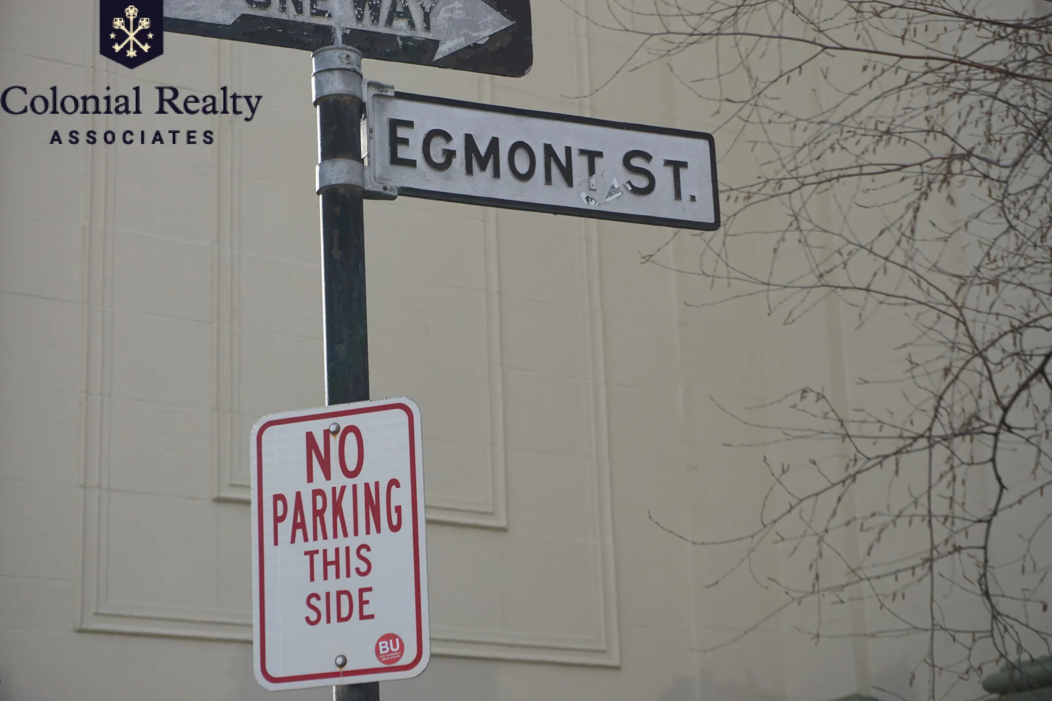 56 Egmont St, North Brookline