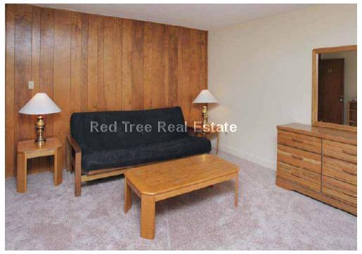 9 Chester St, North Cambridge