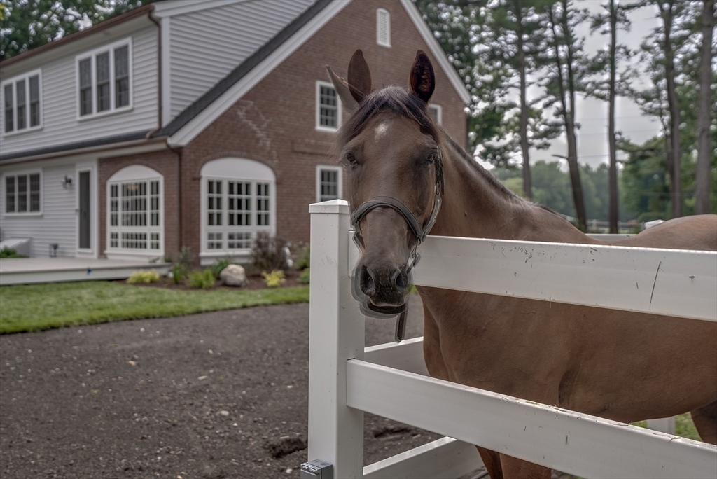 269 Dudley Rd, Bedford